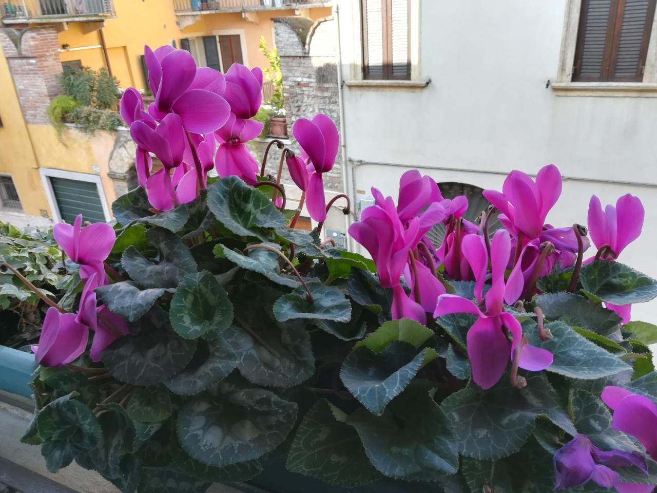 A Casa Di Luca Hotel Verona Luaran gambar